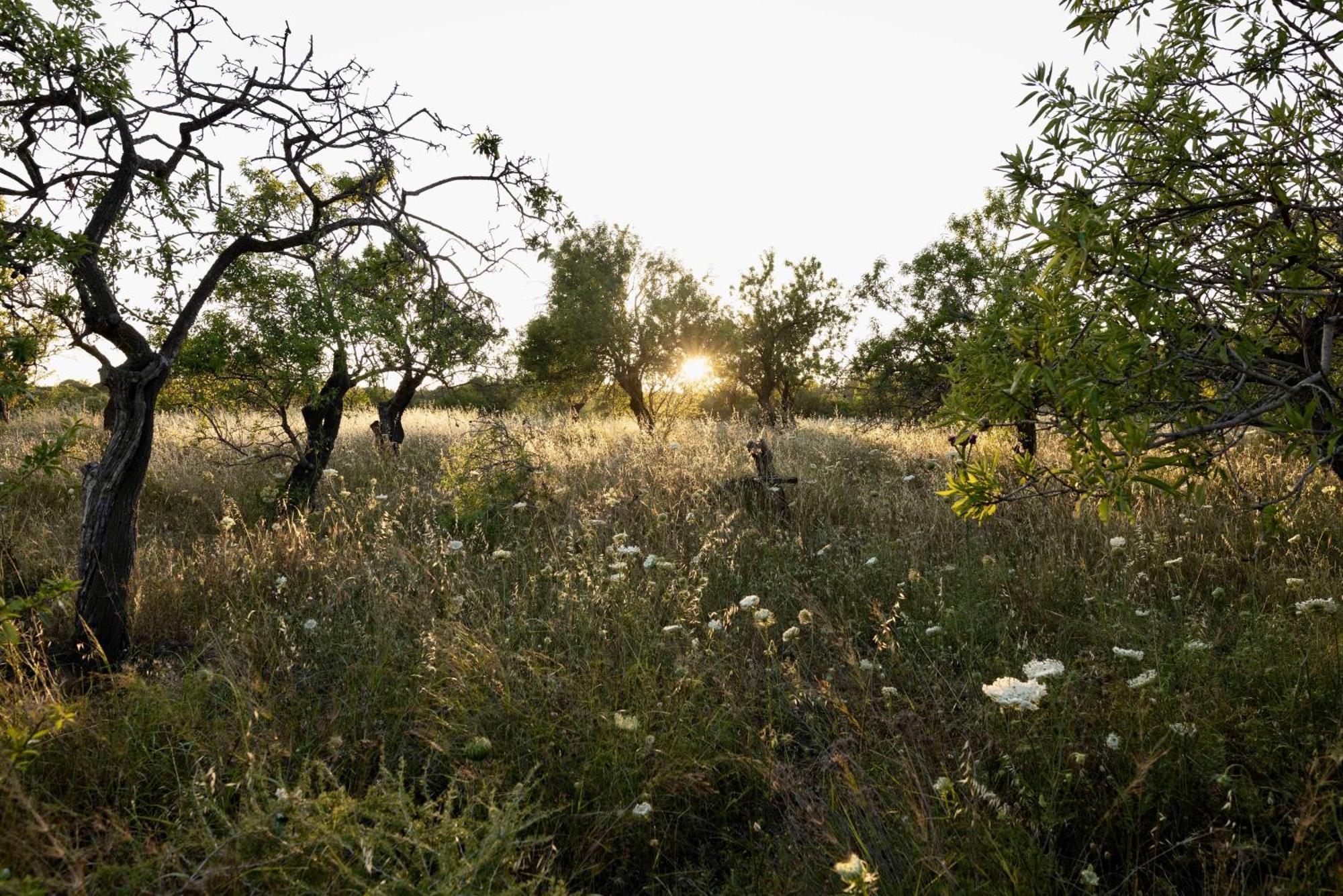Soul Valley All-In Boutique Hotel With Yoga & Wellness Maracalagonis Kültér fotó