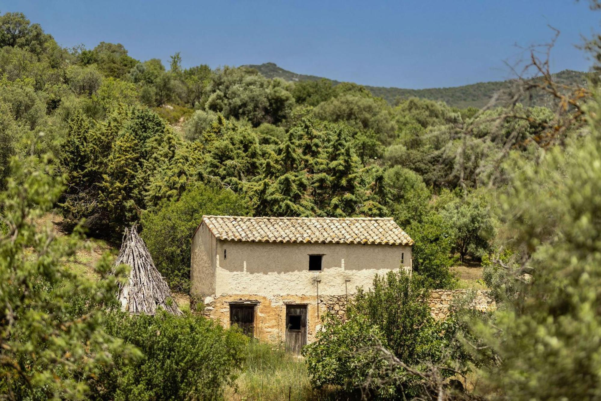 Soul Valley All-In Boutique Hotel With Yoga & Wellness Maracalagonis Kültér fotó